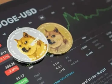 Хранение Dogecoin: как избежать потери доступа к кошельку