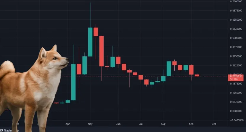 Когда лучше покупать Dogecoin